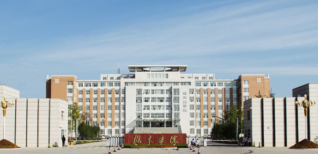 绥化甘肃庆阳陇东学院